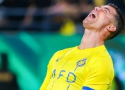 爱游戏官网入口-沙特备战争夺胜利，冲刺决赛的简单介绍