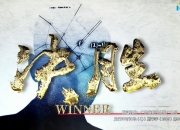 爱游戏官网-热血较量：浙江队实现连胜刷新记录的简单介绍