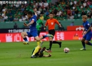 爱游戏网页版登录入口-关于武汉三镇爆发神级表现，中超被彻底压制，逆转的信息