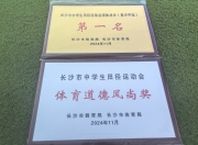 爱游戏平台-湖南队在比赛中展现出稳定实力，夺得重要胜利的简单介绍