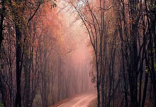 爱游戏官网app-全新篮球联赛蓄势待发，争夺冠军成热点话题