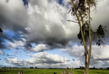 爱游戏在线登录-温馨氛围中涌现球员实力，球场热度不降