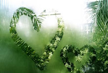 爱游戏官网app-全新篮球联赛蓄势待发，争夺冠军成热点话题