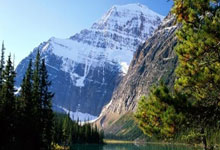 爱游戏在线登录-温馨氛围中涌现球员实力，球场热度不降