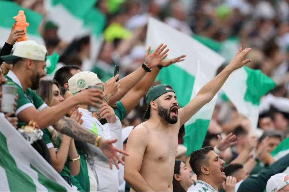 帕尔梅拉斯替补席深度成优势，冲击世俱杯冠军的简单介绍