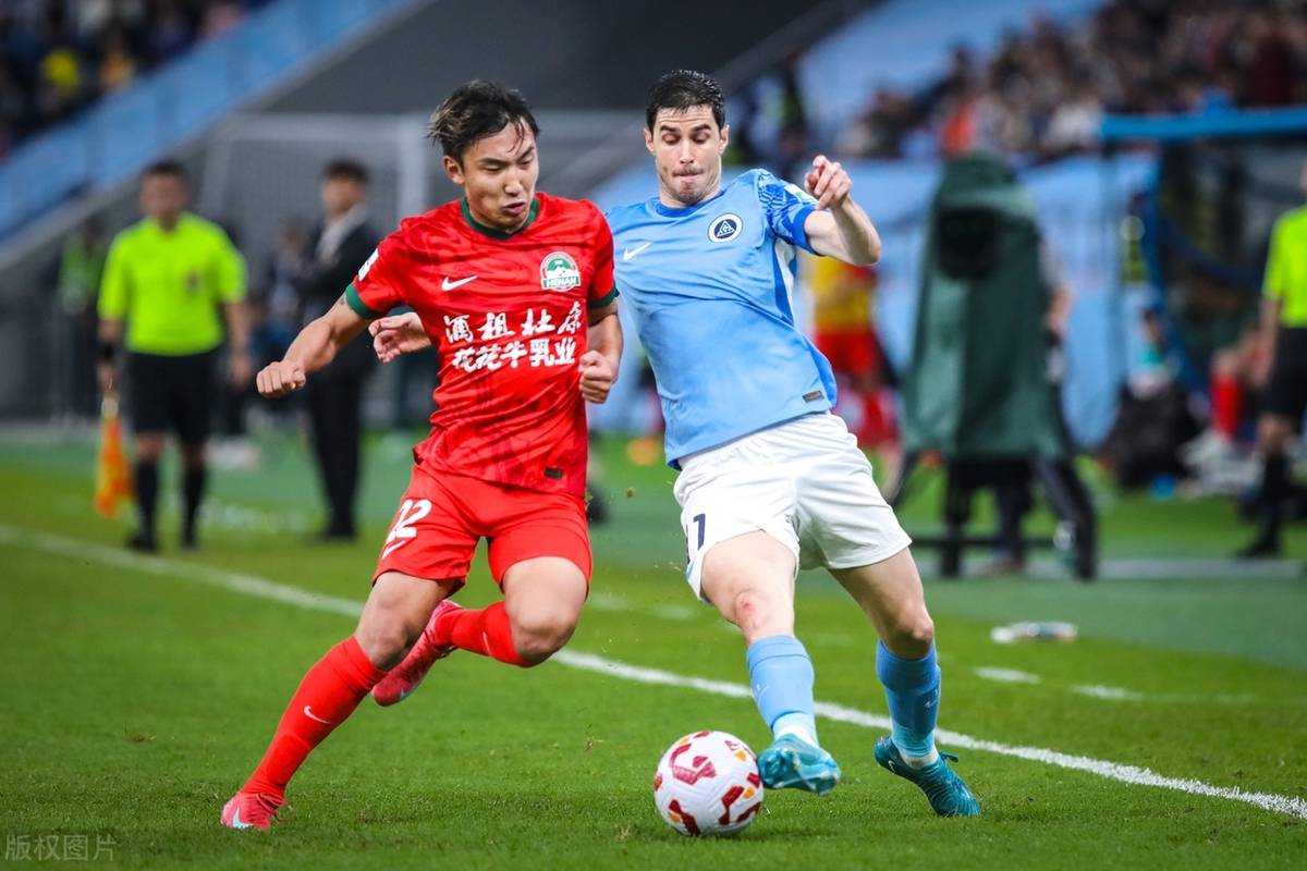 南特主场取胜，积分榜排名攀升的简单介绍