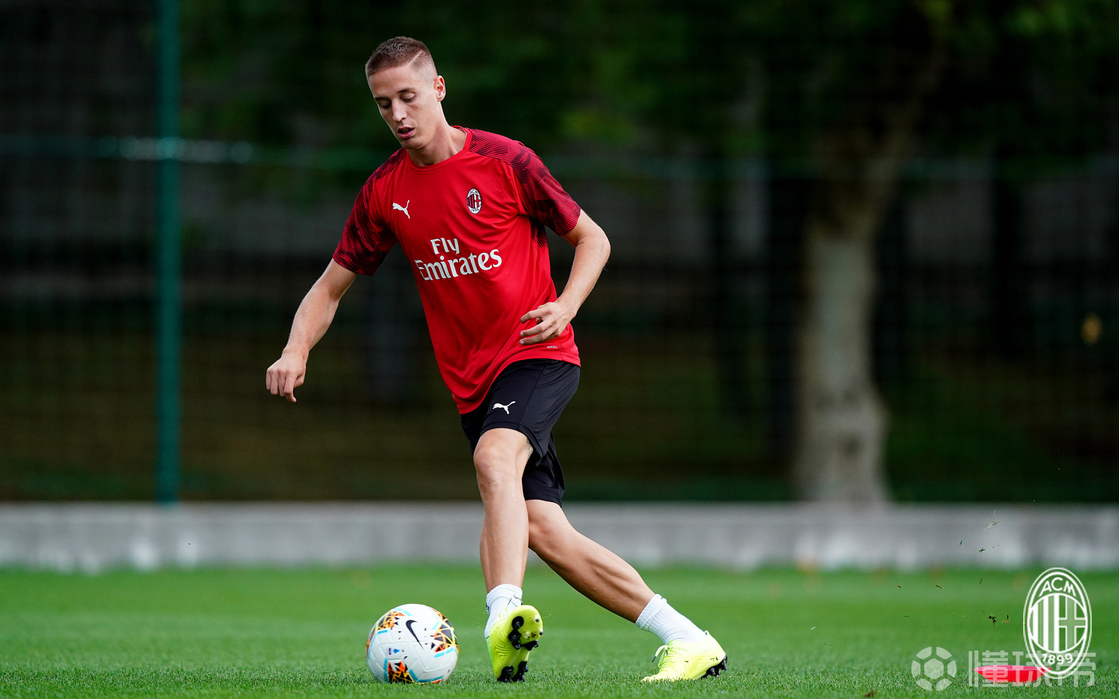 关于欧洲国家队揭幕战打响，各队全力备战的信息