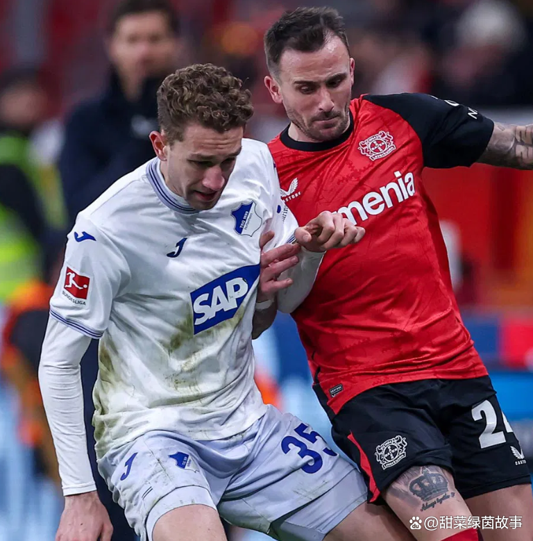 霍芬海姆vs法兰克福:中场对决的简单介绍