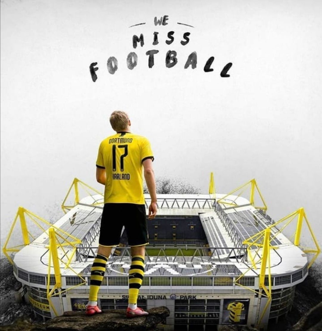 德国队豪取两连胜,势如破竹的简单介绍 德国队豪取两连胜,势如破竹的简单介绍